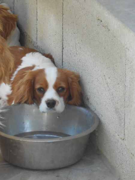 Publication : du Moulin de la Terrasse Auteur : Stephane Chabre