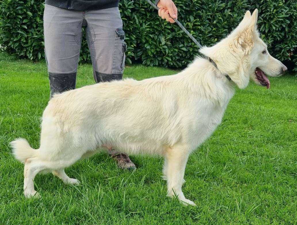 Publication : des hirondelles du voyage