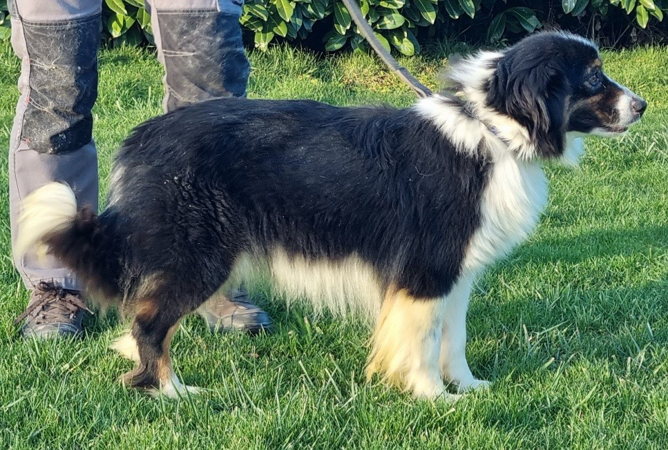 Publication : des hirondelles du voyage