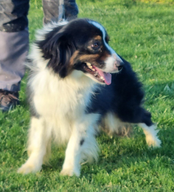 Publication : des hirondelles du voyage