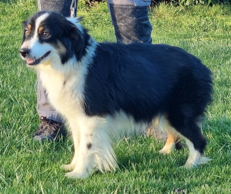 Publication : des hirondelles du voyage