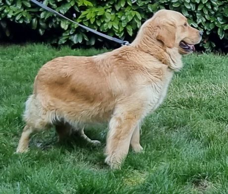 Publication : des hirondelles du voyage