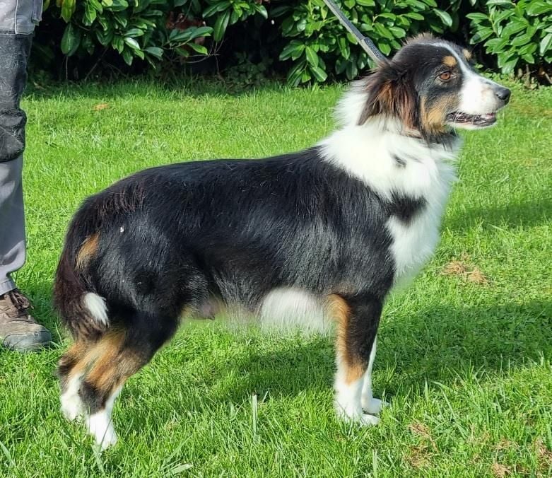 Vivi d'albasta (Sans Affixe)