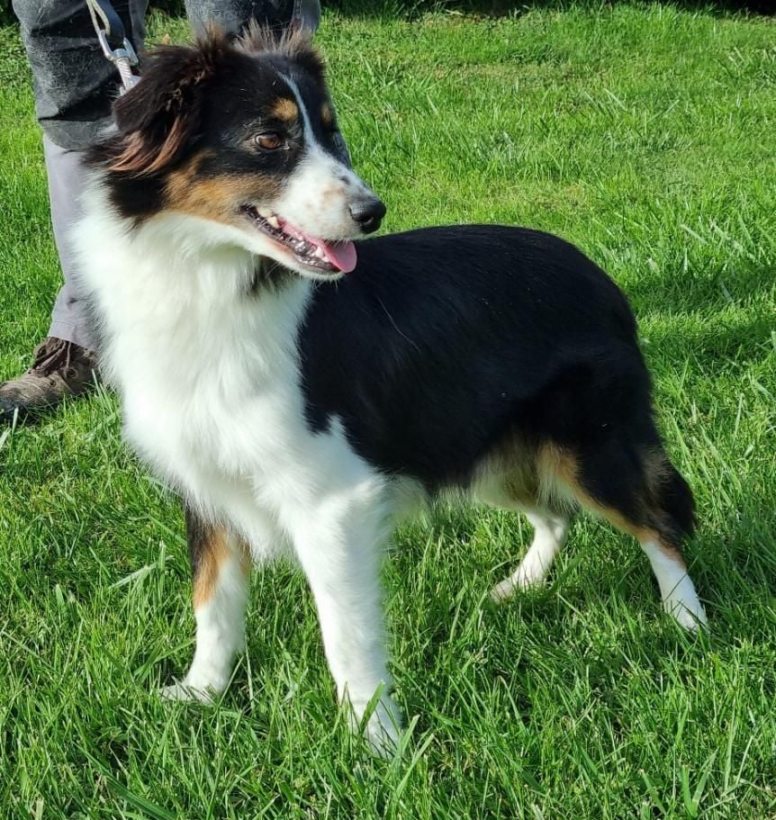 Vivi d'albasta (Sans Affixe)