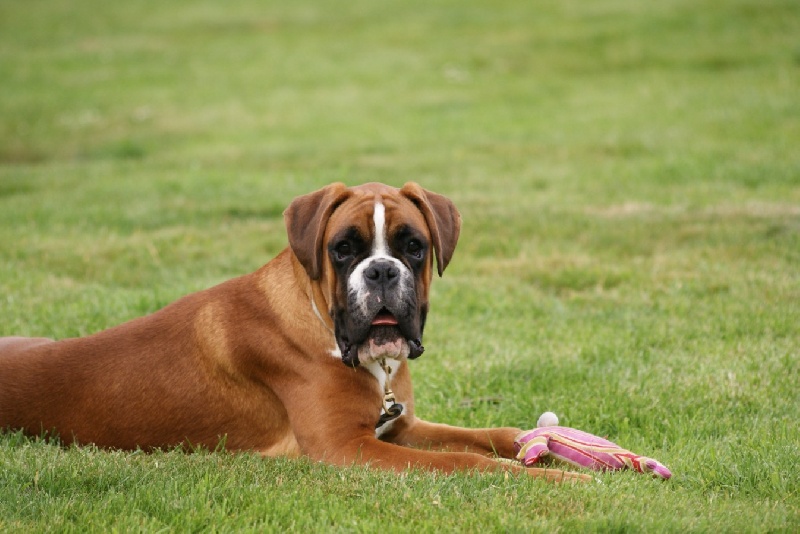 Publication : De l'Ecume De Nacre Auteur : Christelle