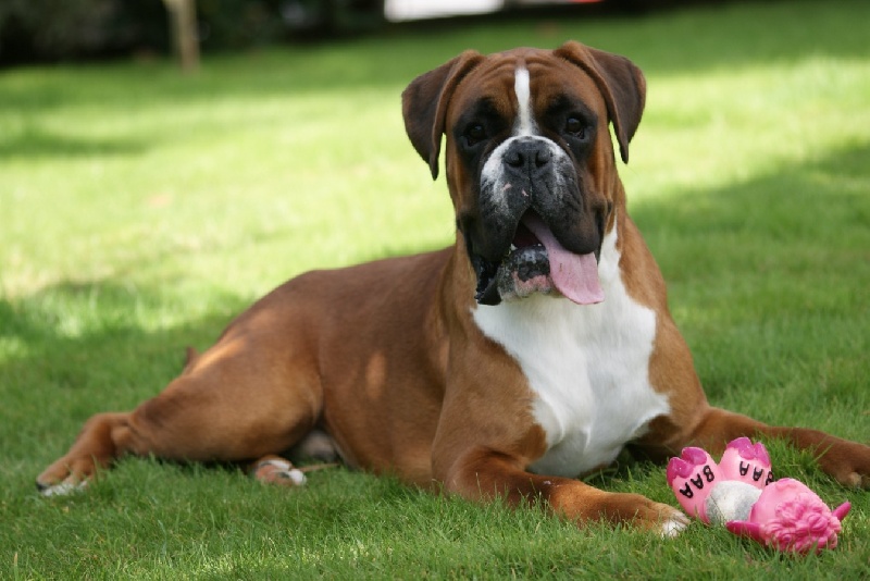 Publication : De l'Ecume De Nacre Auteur : Christelle