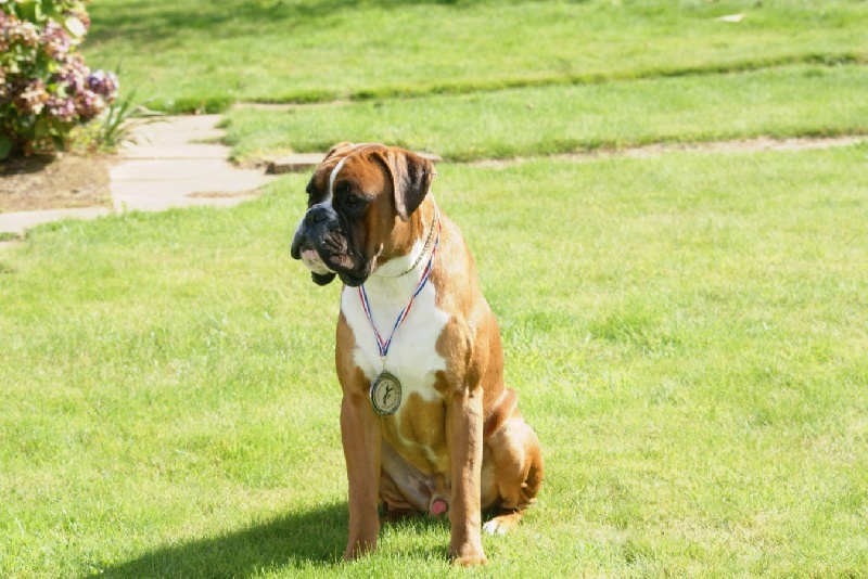 Publication : De l'Ecume De Nacre Auteur : Christelle