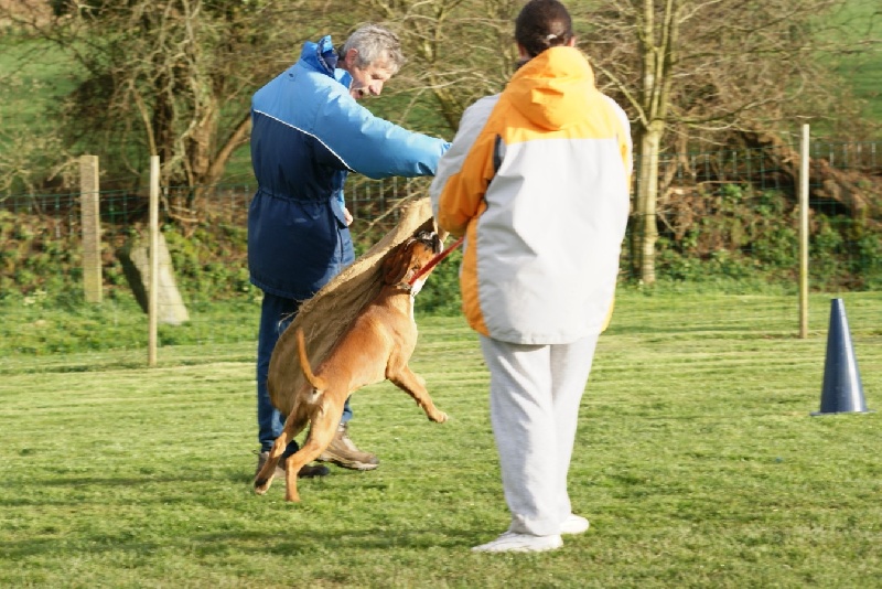 Publication : De l'Ecume De Nacre Auteur : Christelle
