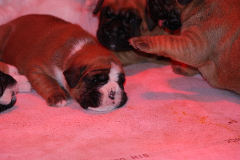 Publication : De l'Ecume De Nacre Auteur : Christelle