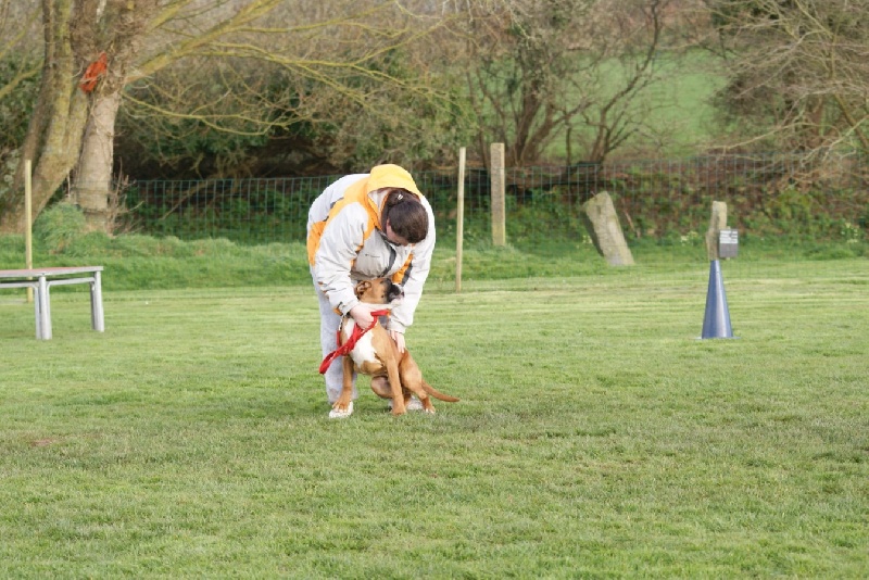 Publication : De l'Ecume De Nacre Auteur : Christelle