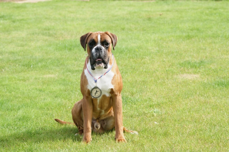 Publication : De l'Ecume De Nacre Auteur : Christelle