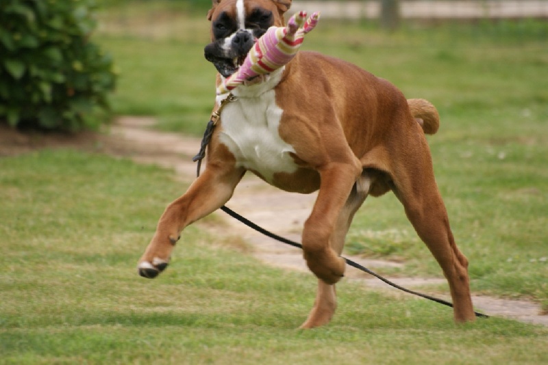 Publication : De l'Ecume De Nacre Auteur : Christelle