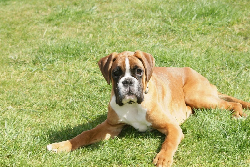 Publication : De l'Ecume De Nacre Auteur : Christelle