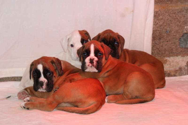 Publication : De l'Ecume De Nacre Auteur : Christelle