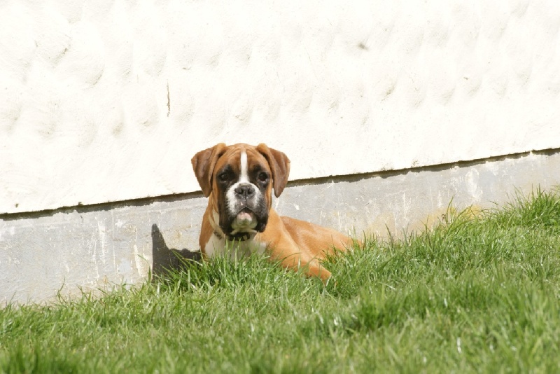 Publication : De l'Ecume De Nacre Auteur : Christelle