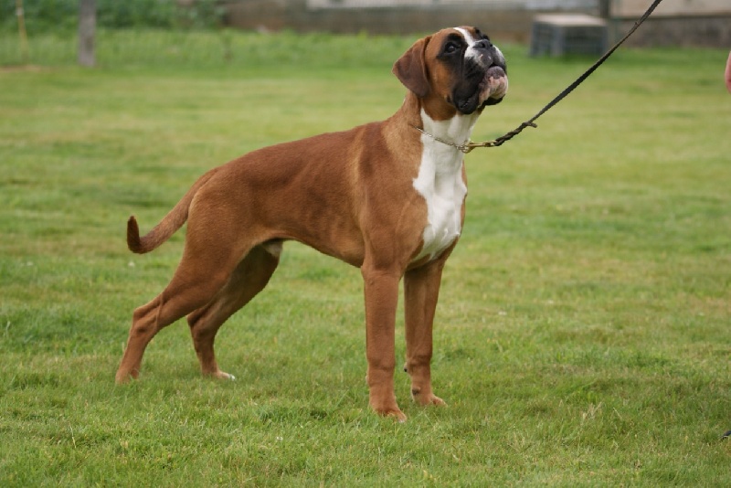 Publication : De l'Ecume De Nacre Auteur : Christelle