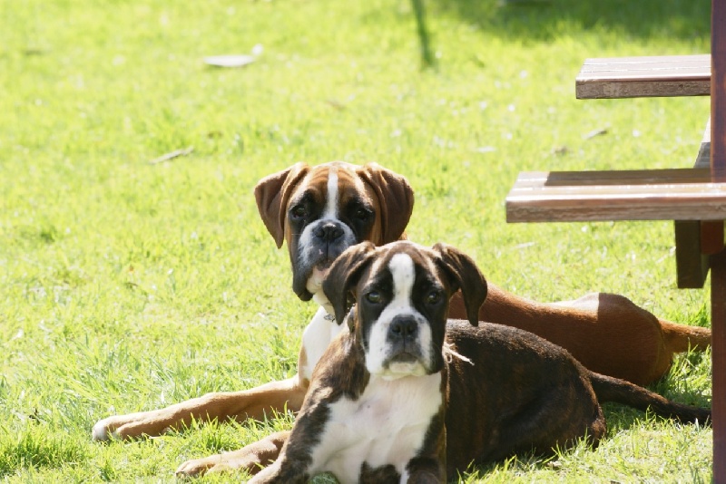 Publication : De l'Ecume De Nacre Auteur : Christelle