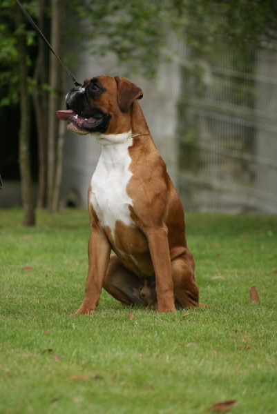 Publication : De l'Ecume De Nacre Auteur : Christelle