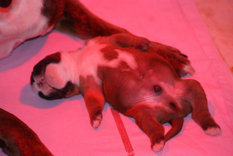 Publication : De l'Ecume De Nacre Auteur : Christelle