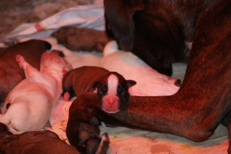 Publication : De l'Ecume De Nacre Auteur : Christelle