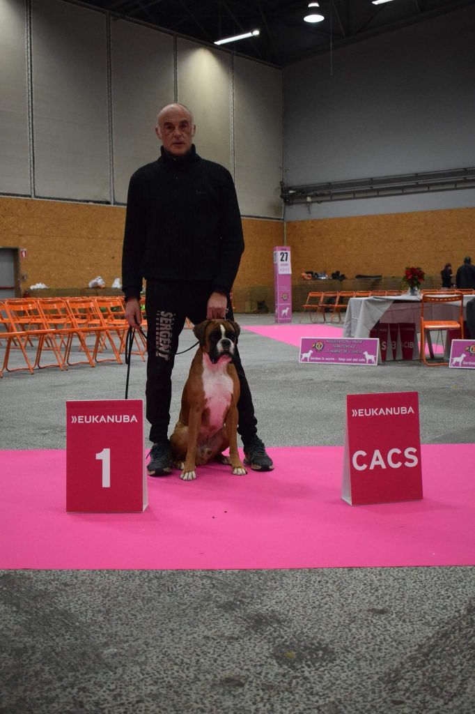 Maiko Du Soleil De L'aurion - 1 er Excellent CACS