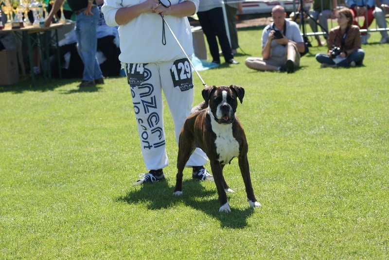 CH. Baisha du repos de la biche - Meilleure sénior