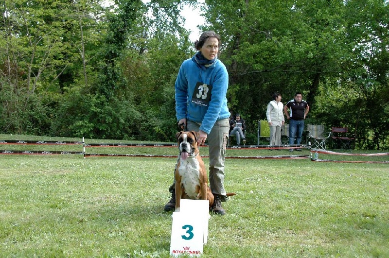 Gwennig De l'Ecume De Nacre - 3 éme Excellent