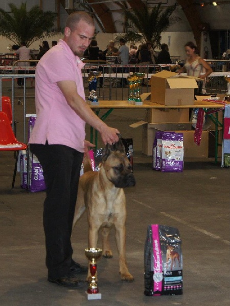 Fantazia du Chemin des Anges