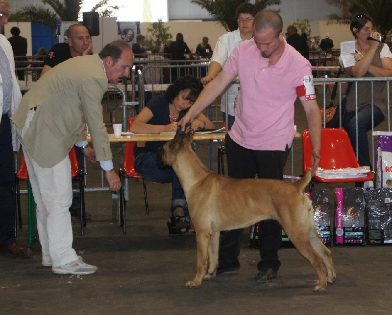 Fantazia du Chemin des Anges