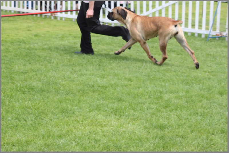 Fantazia du Chemin des Anges