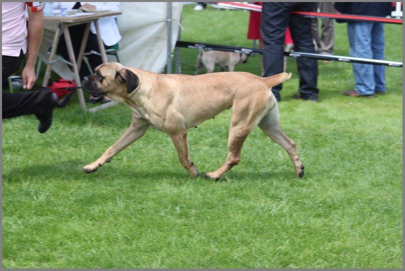 Fantazia du Chemin des Anges