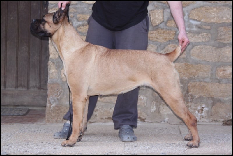 Fantazia du Chemin des Anges