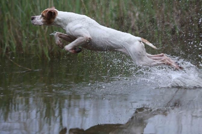 Publication : de l'Escalayole Auteur : Richard Colinet.