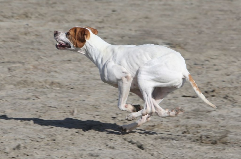 Publication : de l'Escalayole Auteur : Richard Colinet.