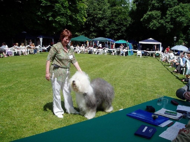 CH. Tennessee of the Arabian Nights - Classe ouverte Exc