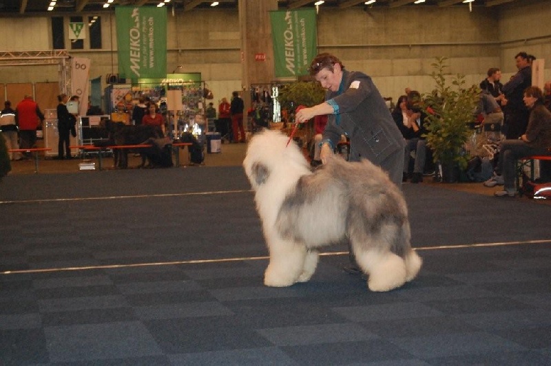 CH. Crescent blue moon From clear spring - Classe Intermédiaire 3ème EXC.