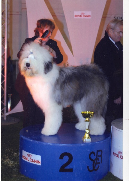 CH. Crescent blue moon From clear spring - 1 er EXC. Meilleur jeune réserve best in show ring d honneur