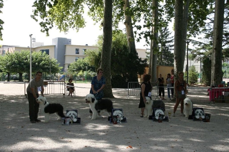 CH. Crescent blue moon From clear spring - Classe baby 2ème TP