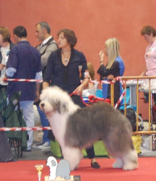 aryakas Themistoklis - . 4 ème EXC.Classe intermédiaire.