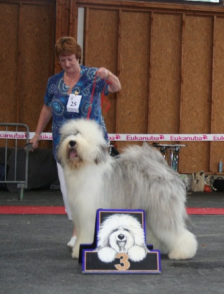 CH. Crescent blue moon From clear spring - 3 ème EXC Classe Intermédiaire