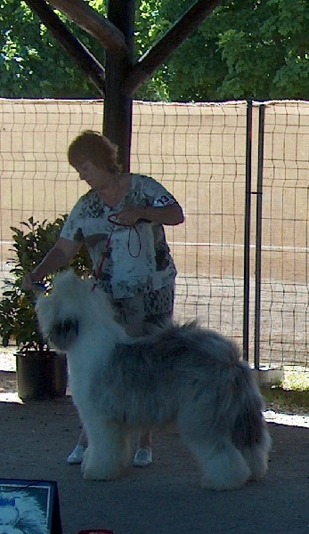 CH. Crescent blue moon From clear spring - 2 éme EXC .Classe Intermédiaire