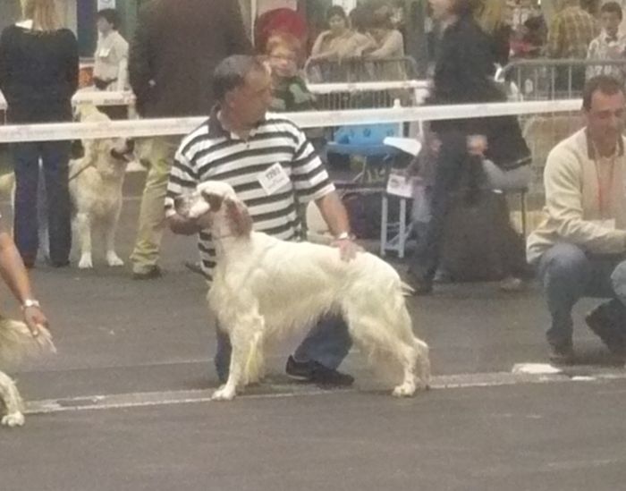 Mart Della bassana - EXC non classé