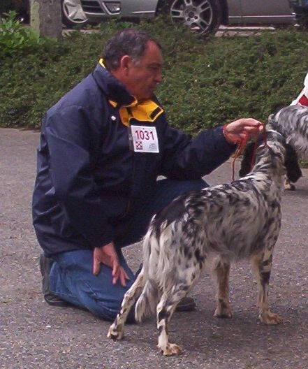 Abby Du chazou clair - 4 ème EXC classe ouverte