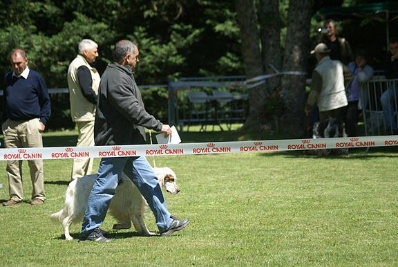 Mart Della bassana - EXC non classé