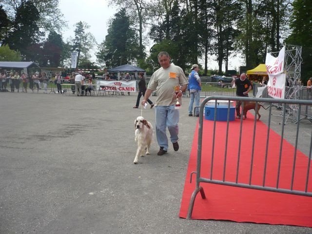 Mart Della bassana - 1er EXC-CACS meilleur de race 2ème du groupe7