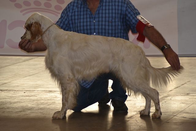 Mart Della bassana - 1er EXC-RCACS