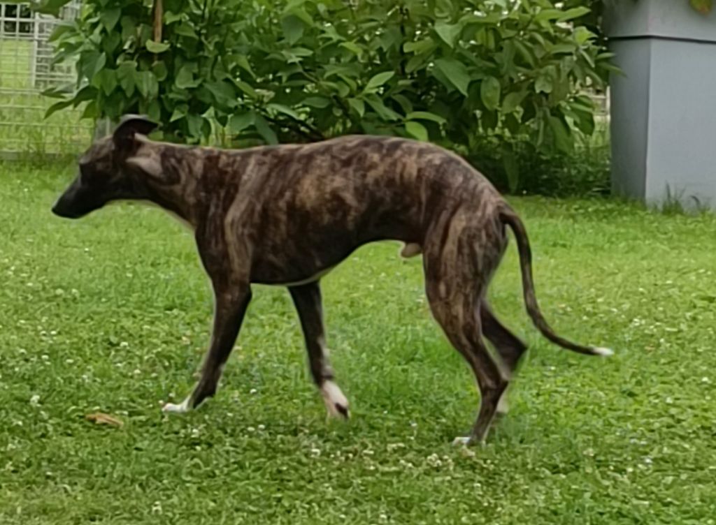 Publication : du clos des Obiers