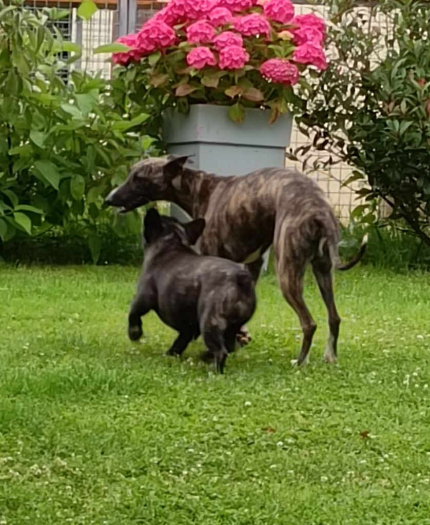 Publication : du clos des Obiers