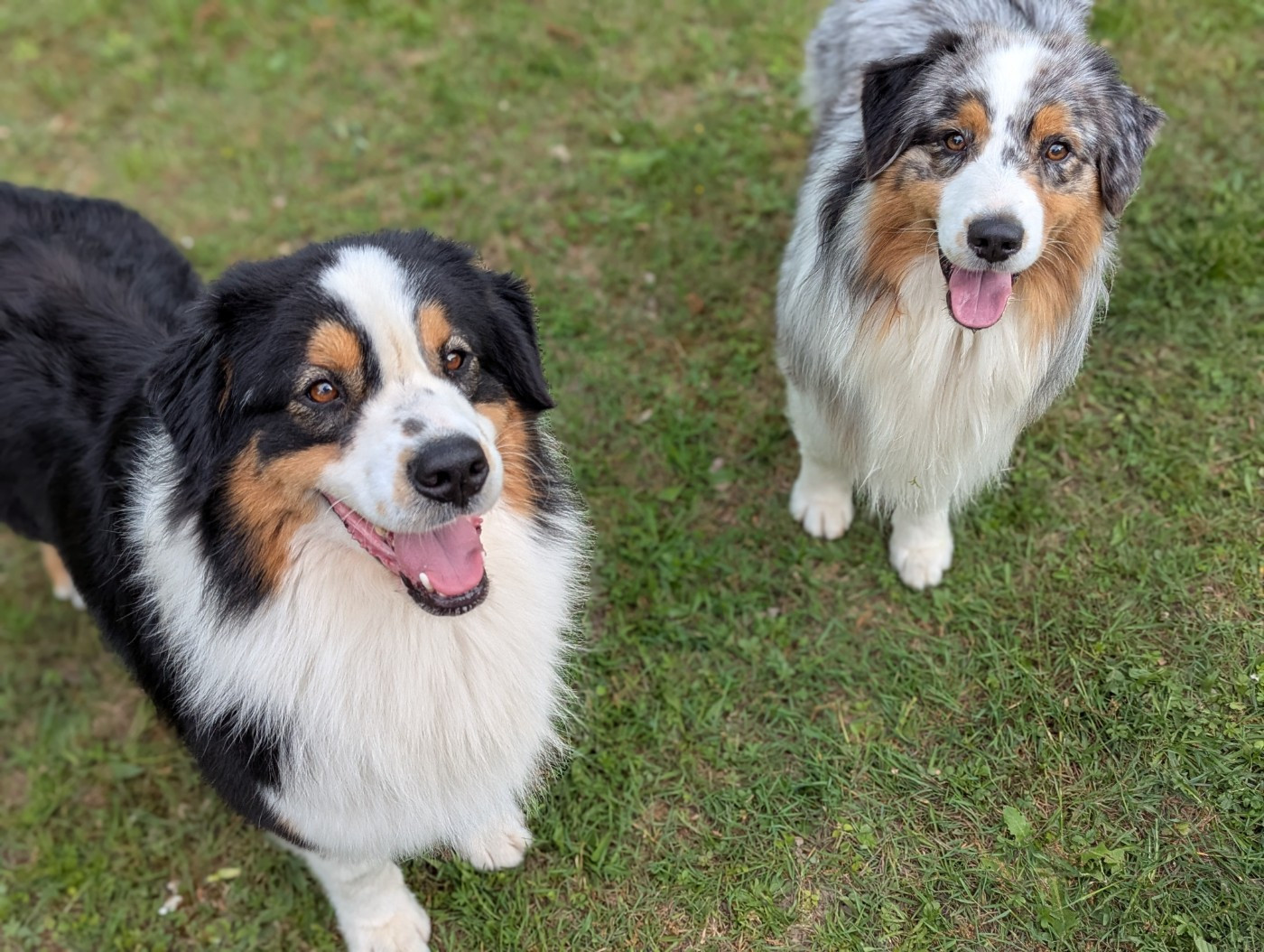 The vampire spike du Jardin des Heliades