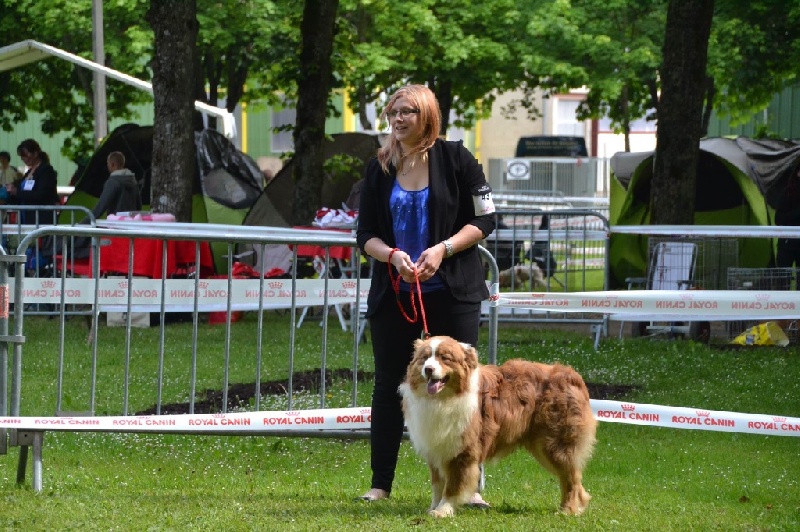 Irish coffee du jardin des héliades du Jardin des Heliades